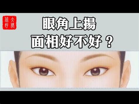 眼尾上揚面相|面相｜4大特徵看你有無老細命!眼尾向上執行力高、這 